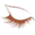 kirpik